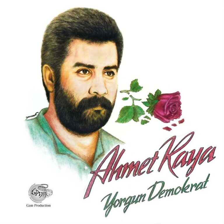 Ahmet Kaya Sevgi Duvarı Renkli Plak türkische Schallplatte kaufen