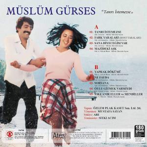 Müslüm Gürses Tanri istemezse - türkische schallplatte-2