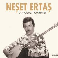 Neset-Ertas-Bozkirin-Tezenesi-tuerkische-CD