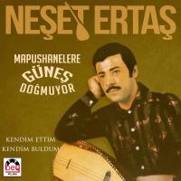 Neset Ertas türkische Schallplatte plak Mapushanelere günes dogmuyor