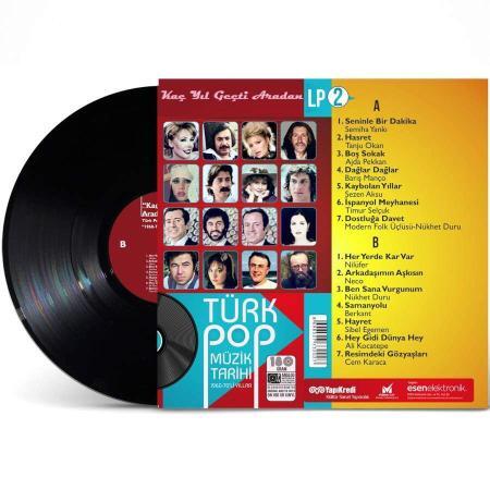 Türk Pop Müzik Tarihi 1960-70 Schallplatte Plak-2