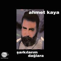 Ahmet Kaya Plak türkische Schallplatte Sarkilarim Daglara-1