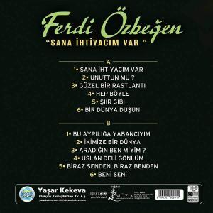 Ferdi Özbegen Sana Ihtiyacim Var - türkische Schallplatte-2