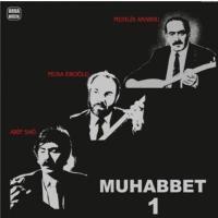 Arif Sag, Musa Eroglu, Muhlis Akarsu, Muhabbet - 1 Schallplatte