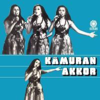 Kamuran Akkor Kader Cikmazi türkische Schallplatte plak