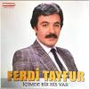 Ferdi Tayfur icimde bir his var - türkische Schallplatte