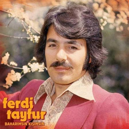 Ferdi Tayfur Baharimsin Kisimsin Plak - türkische Schallplatte