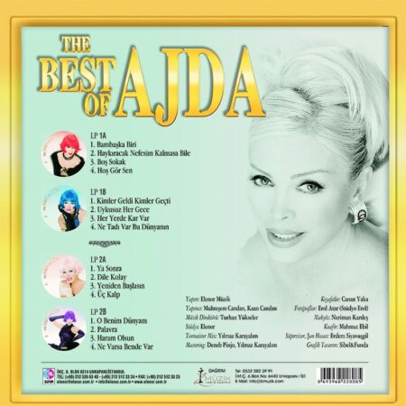 Türkce PlakAjda Pekkan - The Best of Ajda Pekkan (Picture Disc) (Plak)Türkische Schallplatte