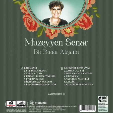 Müzeyyen Senar - Bir Bahar Akşamı (Plak) Türkische Schallplatte – Bild 2