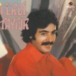 Ferdi-Tayfur-postacilar-tuerkische-schallplatte