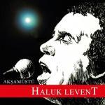 Haluk Levent - Akşam Üstü (Plak)Türkische Schallplatte