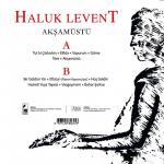 Haluk Levent - Akşam Üstü (Plak)Türkische Schallplatte