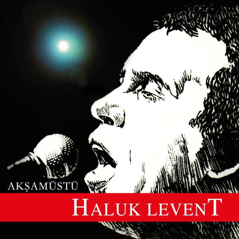 Haluk Levent - Akşam Üstü (Plak)Türkische Schallplatte