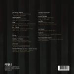 Müslüm Gürses ask tesadüfleri sever plak - türkische schallplatte-2