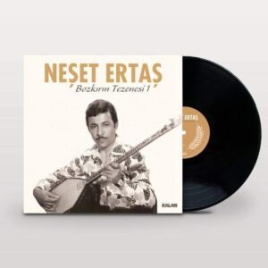 Neset-Ertas-Bozkirin-tezenesi-1-tuerkische-schallplatte