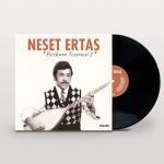 Neset-Ertas-Bozkirin-tezenesi-2-tuerkische-schallplatte