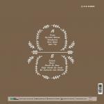 Sezen Aksu Firuze türkische Schallplatte - 2