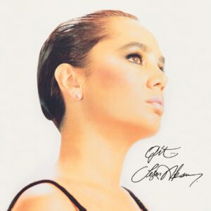 Sezen-Aksu-git-tuerkische-schallplatte