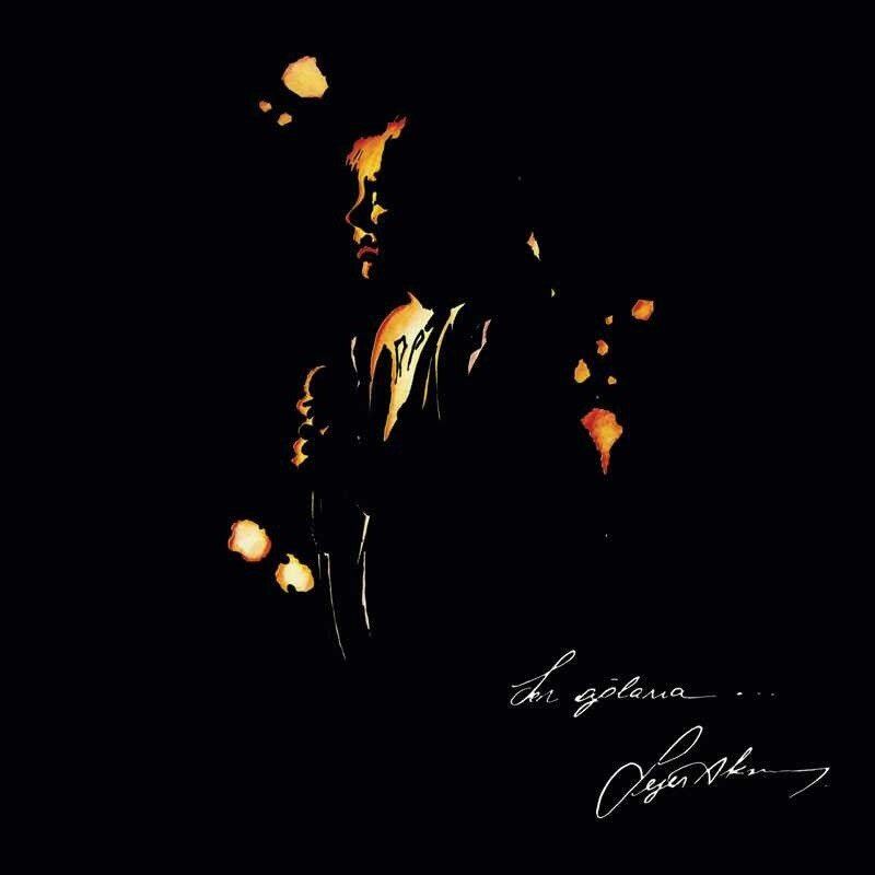 Sezen-Aksu-sen-aglama-tuerkische-schallplatte