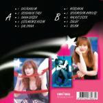 Yildiz Tilbe Delikanlim plak, türkische Schallplatte