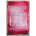 Ahsap Resim Wandzitat Biliyorsun Dogustan Beri Hakliyim