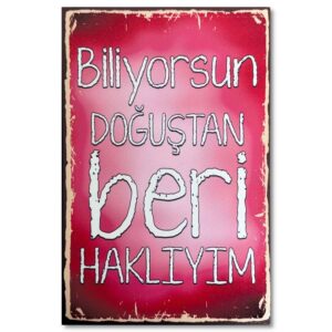 Ahsap Resim Wandzitat Biliyorsun Dogustan Beri Hakliyim