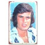 Tarik Akan Ahsap Poster - Resim - Holzposter 1504