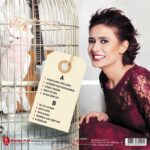 Yıldız Tilbe - Şivesi Sensin Aşkın - Plak