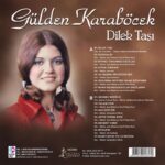 Gülden Karaböcek - Dilek Taşı (Renkli Plak) - Plak