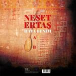 Neşet Ertaş - Hata Benim - Plak