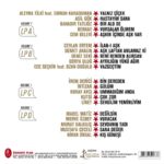 Çeşitli Sanatçılar - Yıldız Tilbe'nin Yıldızlı Şarkıları Vol. 1 (Renkli Plak) - Plak