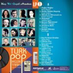 Çeşitli Sanatçılar - Türk Pop Müzik Tarihi 1960-70'lı Yıllar Vol.1 (Renkli) - Plak